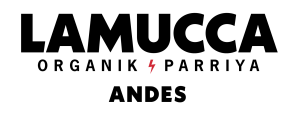 Logo Andes Negro